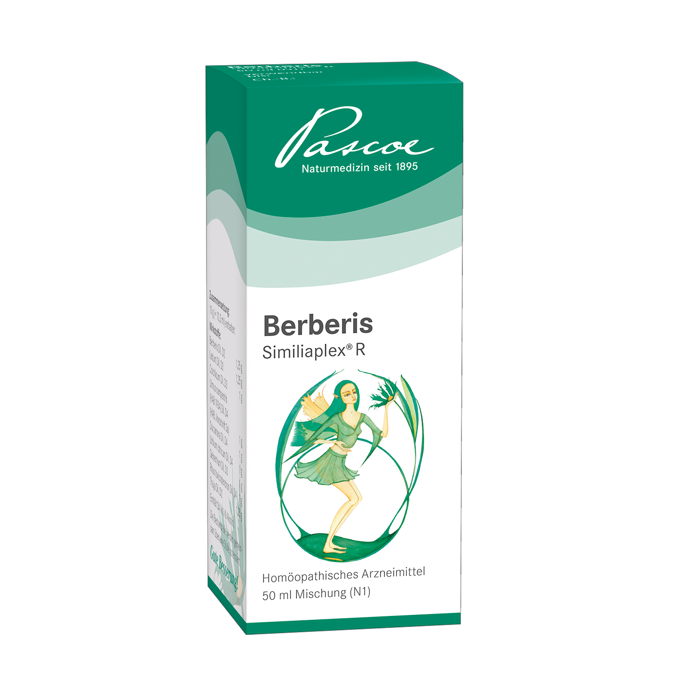 BERBERIS SIMILIAPLEX R Tropfen BERBERIS SIMILIAPLEX Mischung