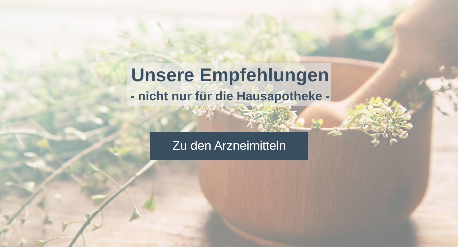 Grafik mit eeinem Mörser und Kräutern im Hintergrund. Text lautet "Unsere Empfehlungen - nicht nur für die Hausapotheke" Zu den Arzneimitteln