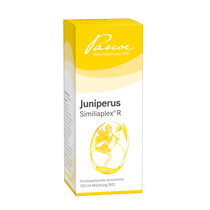 JUNIPERUS SIMILIAPLEX Mischung JUNIPERUS SIMILIAPLEX Mischung