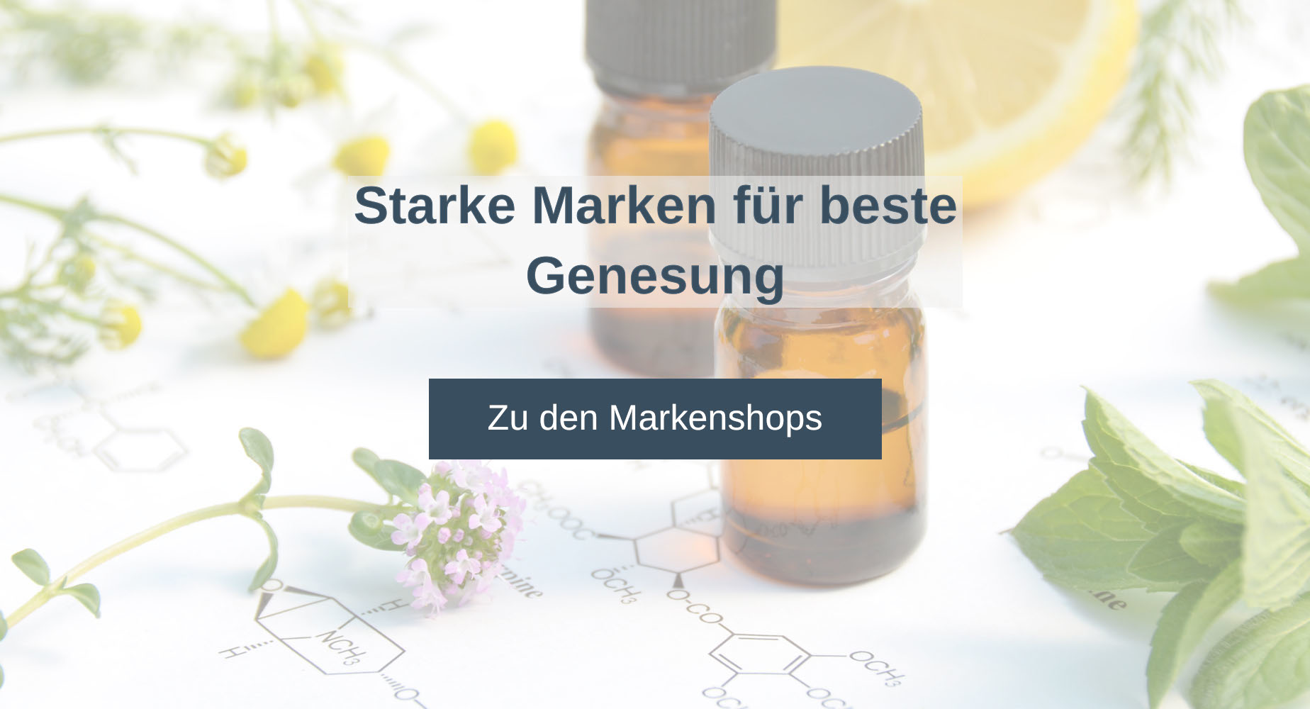 Grafik mit Arzneifläschchen und Kräutern im Hintergrund. Text lautet "Starke Marken für beste Genesung" Zu den Markenshops